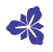 homeland hospice