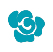 homeland homehealth