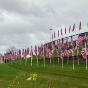 lines of flags honoring our veterans