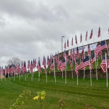 Homeland Honors Veterans Through Flags for Heroes Event