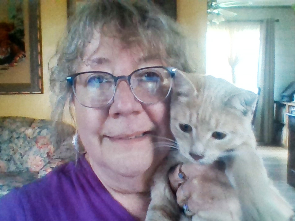 homeland volunteer and cat lover kathy louis