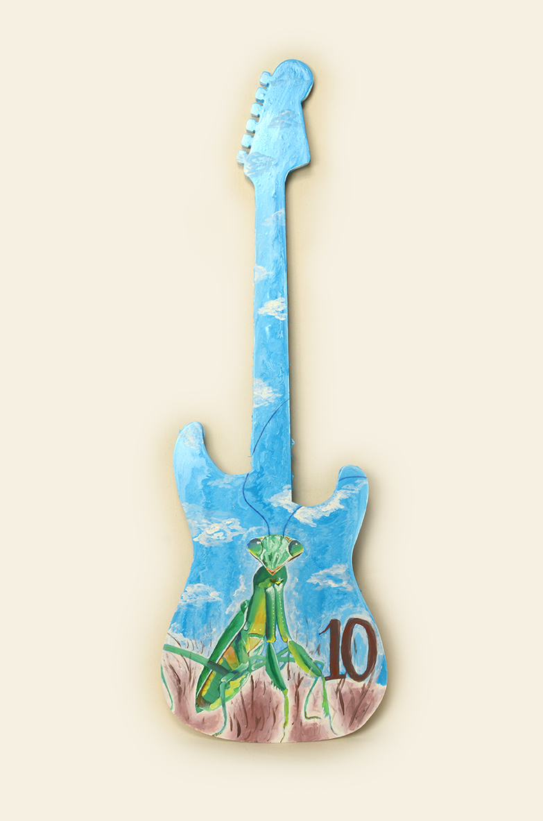 Homeland Hospice 10th Anniversary Guitar