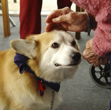 Homeland Hospice ‘Extras’